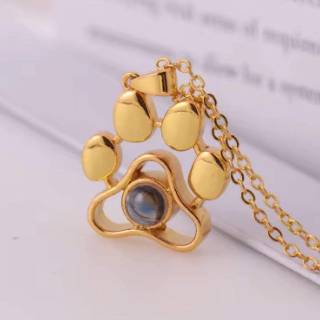 collar de proyección de tu mascota
