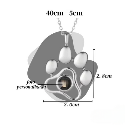 collar de proyección de tu mascota