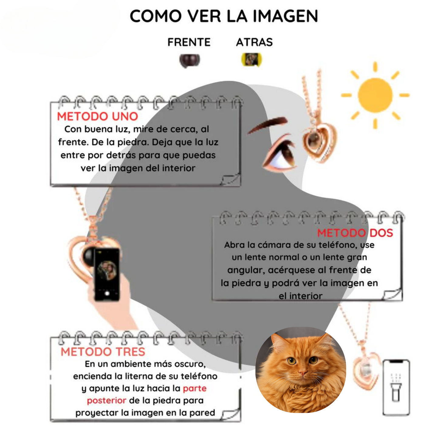 collar de proyección de tu mascota