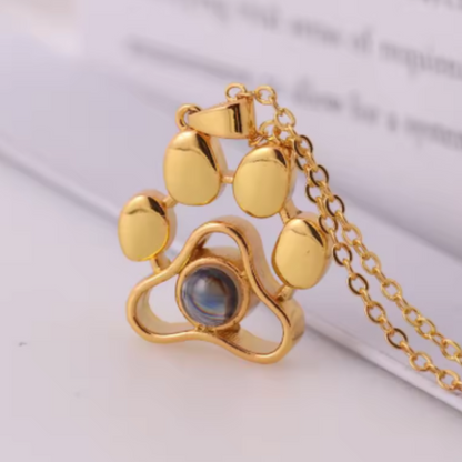 collar de proyección de tu mascota